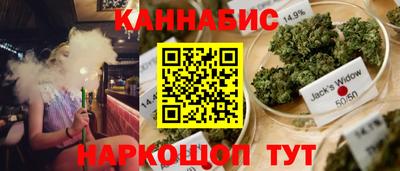 тгк Камышлов