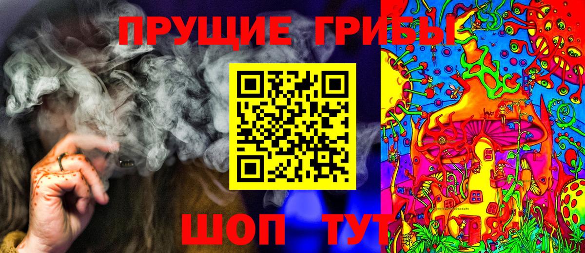 Курчатов  Галлюциногенные грибы MAGIC MUSHROOMS  Вход с VPN 
