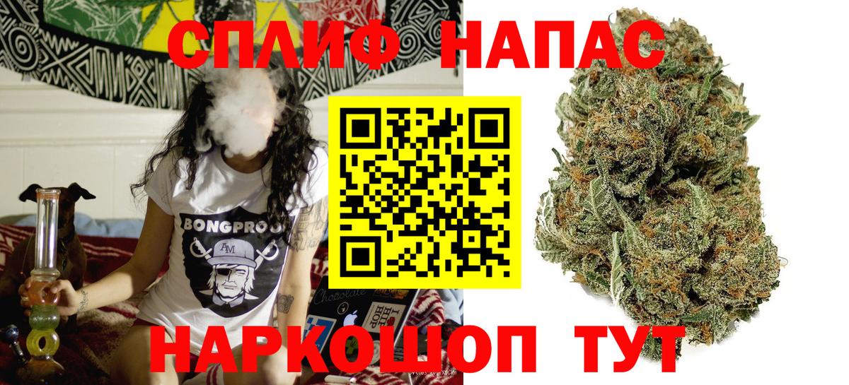 МАРИХУАНА план Курчатов